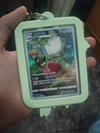Carta Pokémon Roselia de Gardenia Display box. 