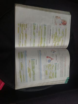 Anatomofisiología y patología básicas