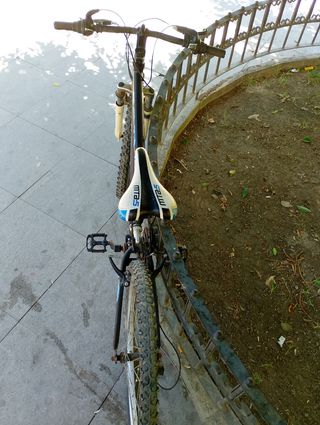 Bicicleta de Montaña Avigo Downhill