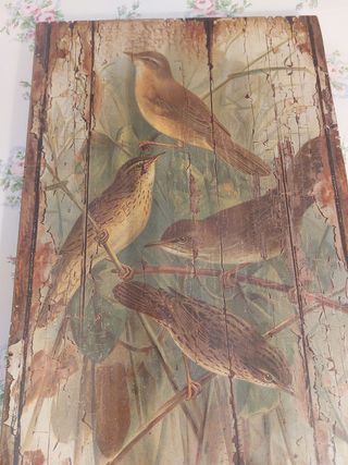Cuadros de pájaros en madera