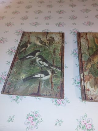 Cuadros de pájaros en madera