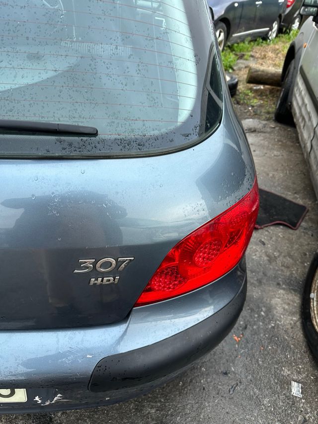 Despiece Peugeot 307 HDI