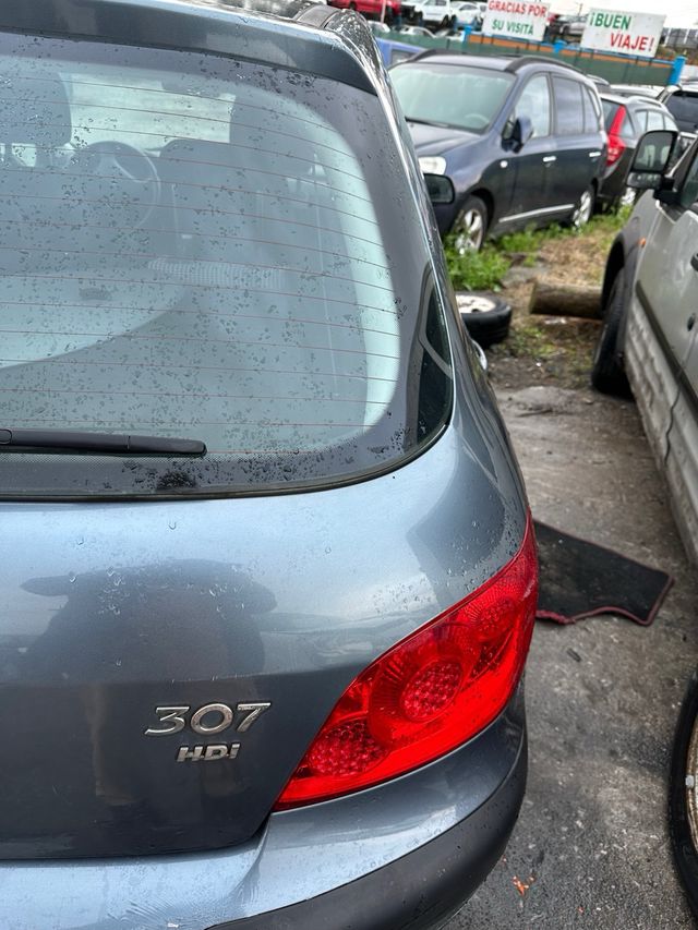 Despiece Peugeot 307 HDI
