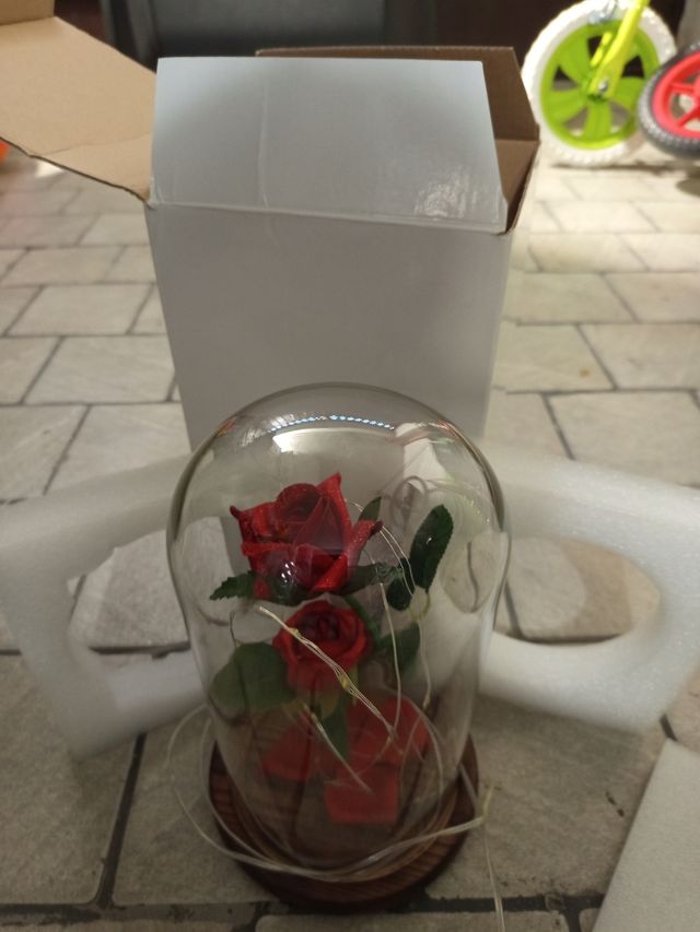 Rosa LED con campana de cristal