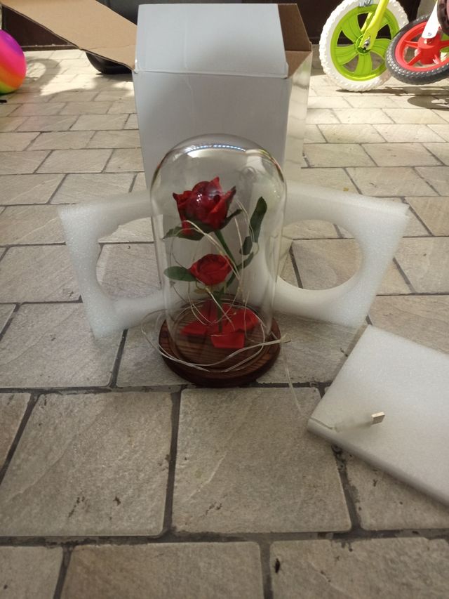 Rosa LED con campana de cristal