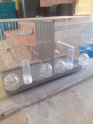 Jaula para pájaros plateada y transparente