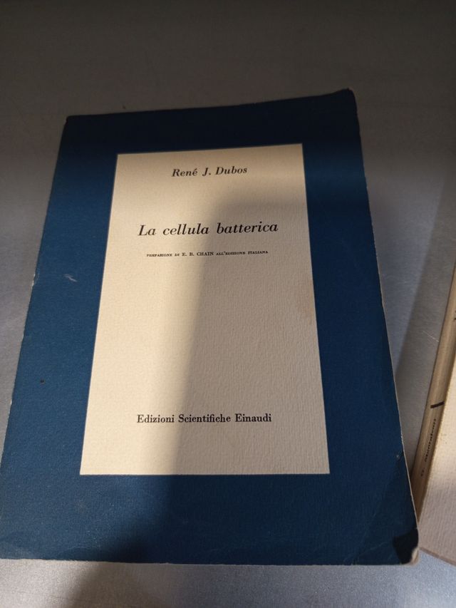 Vendo 3 libri di narrativa e un topolino del 1984