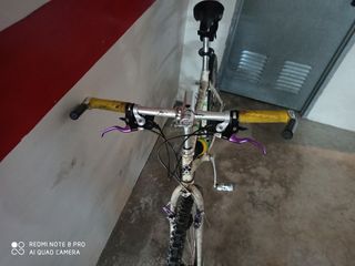 Bicicleta Colnago para adultos Marca clasica