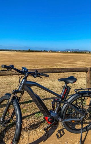 Bicicleta eléctrica motor Bosch