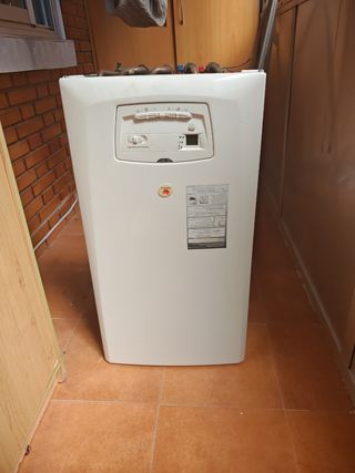 Calefón a gas Thermor Thermaclassic de 100 litros 