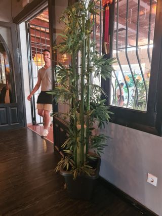 Planta de bambú artificial