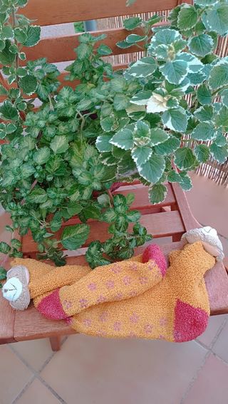 Calcetines antideslizantes T/40