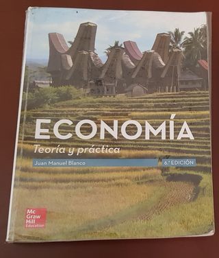 Economia: Teoria y practica 6E