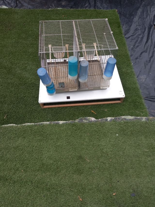 Jaula grande para pájaros