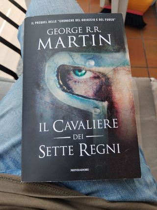Il cavaliere dei sette regni