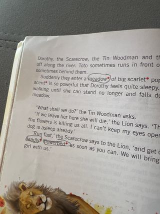 The Wonderful Wizard of Oz, mit 1 Audio-CD: Hel...