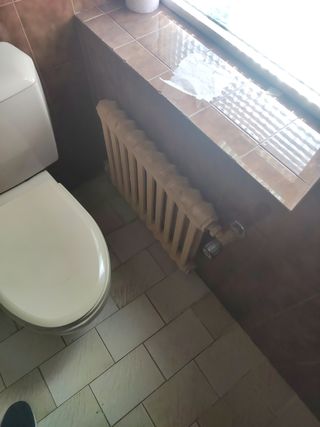 Radiadores de hierro fundido