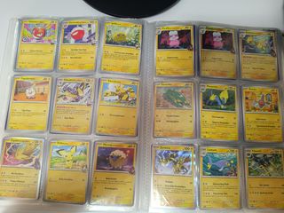Colección de 503 cartas pokemon