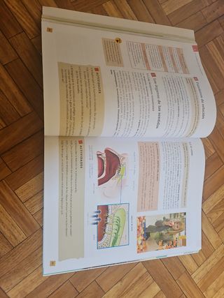 Libro Biología y Geología 3 ESO