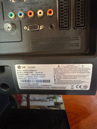 Televisor LG 19 (19LS4D)