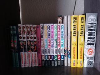 Varios mangas