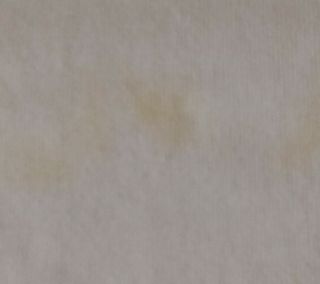 Camiseta Converse Blanca Chuck Taylor