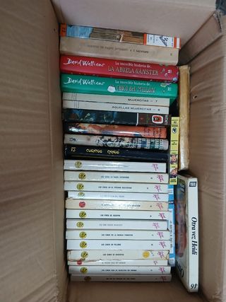 Lote de libros juveniles
