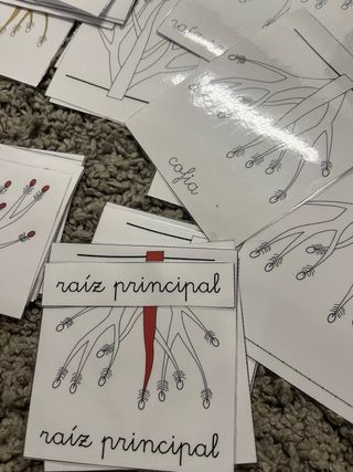 Tarjetas Montessori La Raíz
