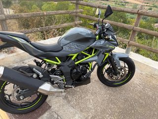 Kawasaki Z125  2024 Gris y Verde nueva