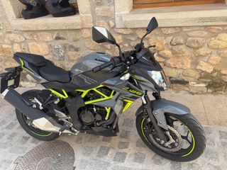 Kawasaki Z125  2024 Gris y Verde nueva