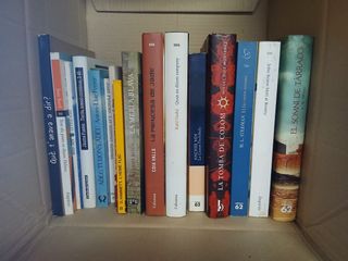 Lote de 14 libros en catalán
