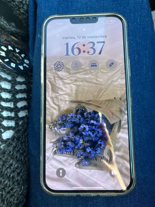 iPhone 14 Plus con flores secas