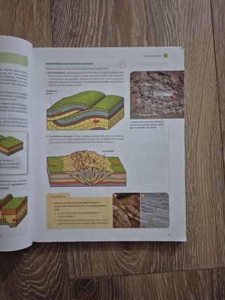 Biologia Eta Geologia, 4 Dbh