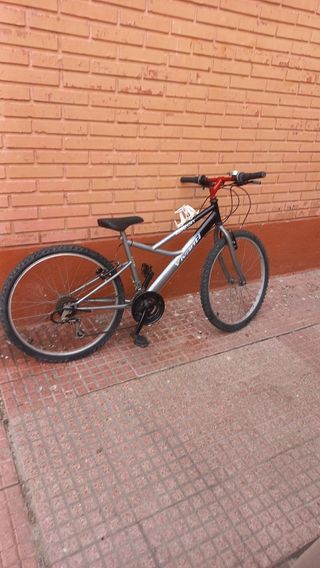 Bicicleta de montaña 24