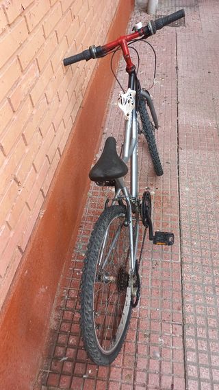 Bicicleta de montaña 24