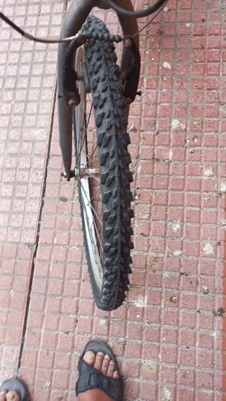 Bicicleta de montaña 24