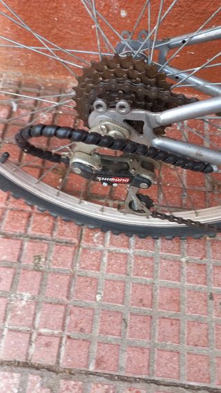 Bicicleta de montaña 24