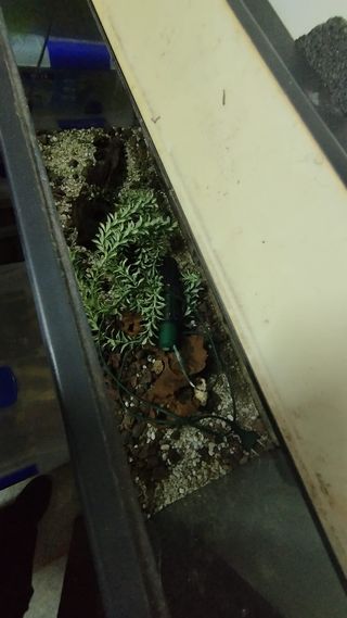Acuario grande con mueble