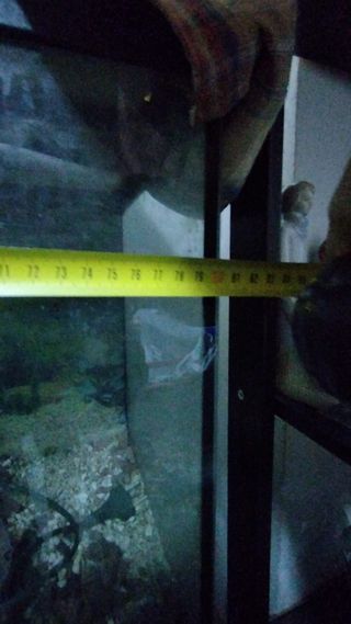 Acuario grande con mueble