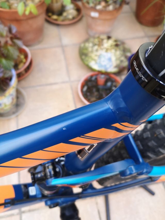 Giant Stance 1 LTD Bicicleta Montaña