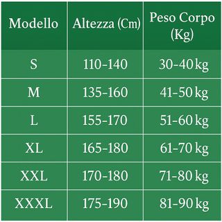 Correttore Posturale Schiena 