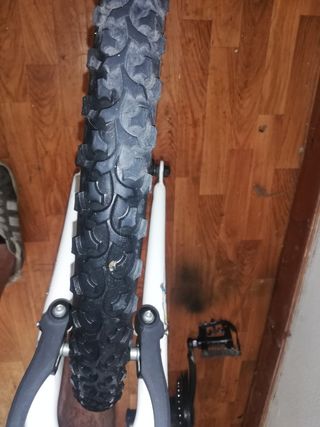 Bicicleta infantil F1rst Teens 25