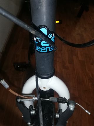 Bicicleta infantil F1rst Teens 25