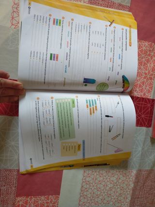 Sextant 2 ESO. Llengua catalana