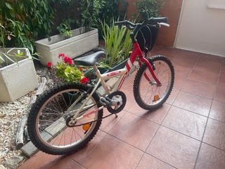 Bicicleta infantil Orbea 20