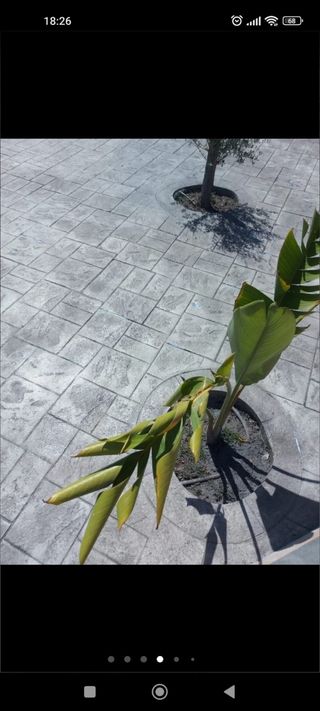 Suelo de hormigón pulido