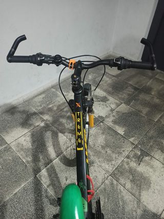 Bicicleta de 24 pulgadas