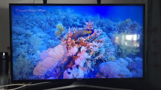 Televisión 