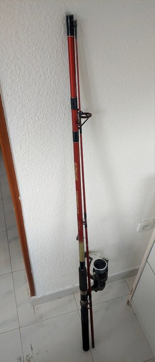 Lote de cañas de pesca