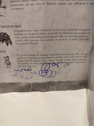 Harry Potter e la Pietra Filosofale PS2